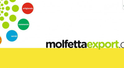 molfettaexport copia