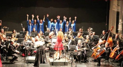 orchestra provinvia