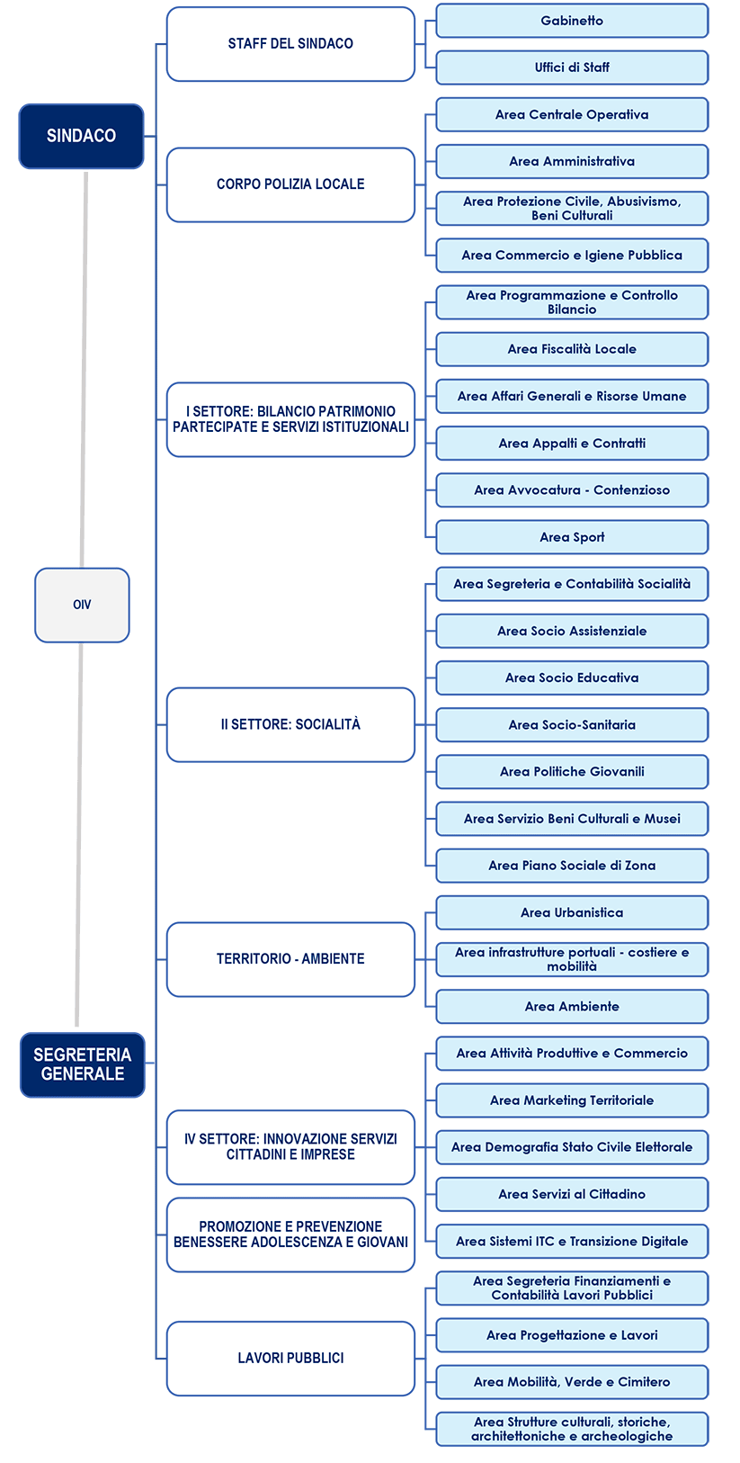 Organigramma