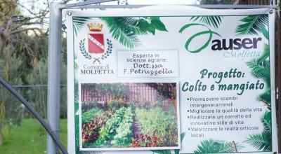 “Colto e Mangiato”, torna il progetto che insegna ai giovani a co...