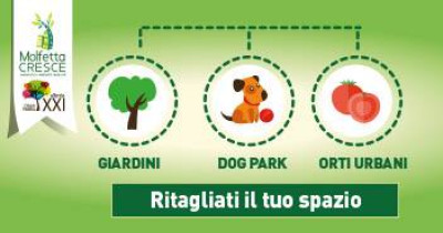 piano verde immagine piano verde immagine