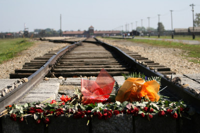 Giornata della memoria. Il messaggio del Sindaco Minervini