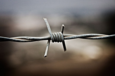 La Shoah in tre appuntamenti. Molfetta celebra la Giornata della memoria