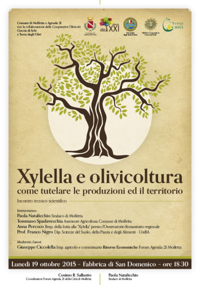 xylella web xylella web